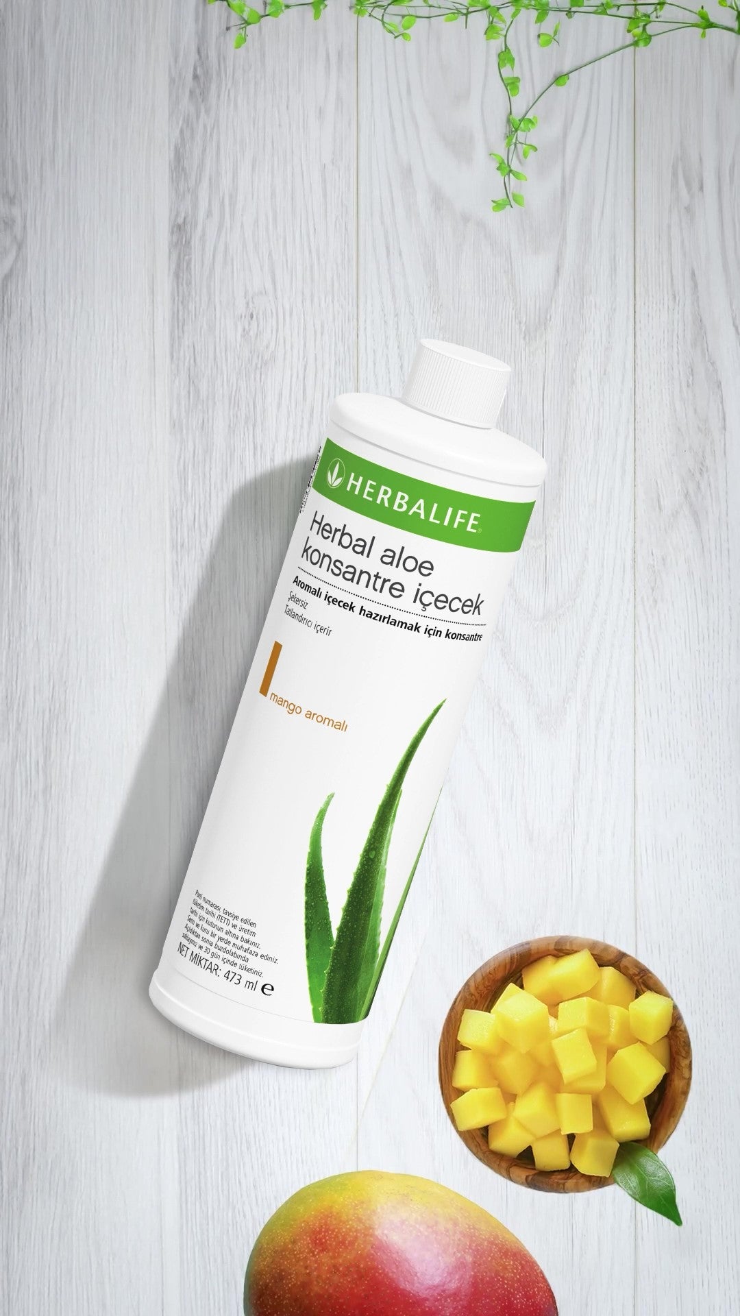 Herbalife Aloe Vera Suyu Mango Aromalı 473ml